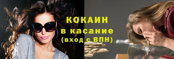 mix Богородицк