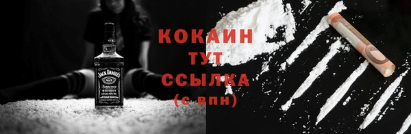 mix Богородицк