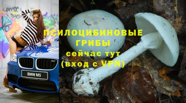 mdpv Богородск