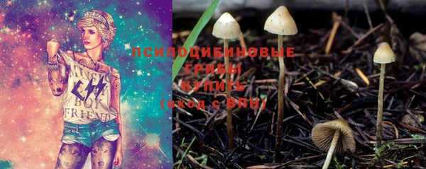 эйфоретик Ивантеевка