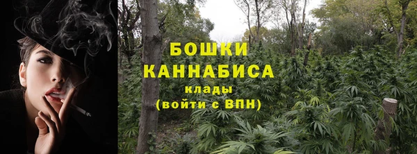 mix Богородицк