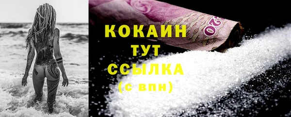 mix Богородицк