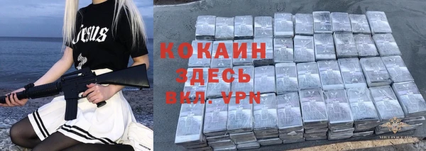 mdpv Богородск