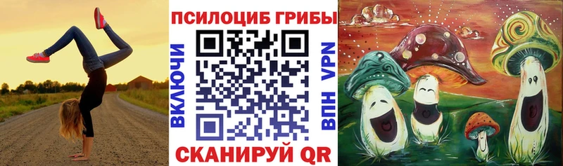 кракен сайт  где продают наркотики  Макаров  Галлюциногенные грибы GOLDEN TEACHER 